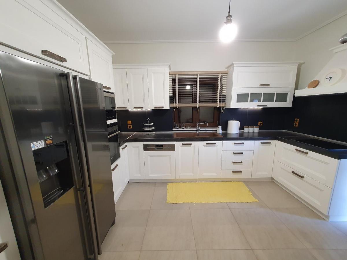 Villa Lina Salamina Ambelakia Екстер'єр фото